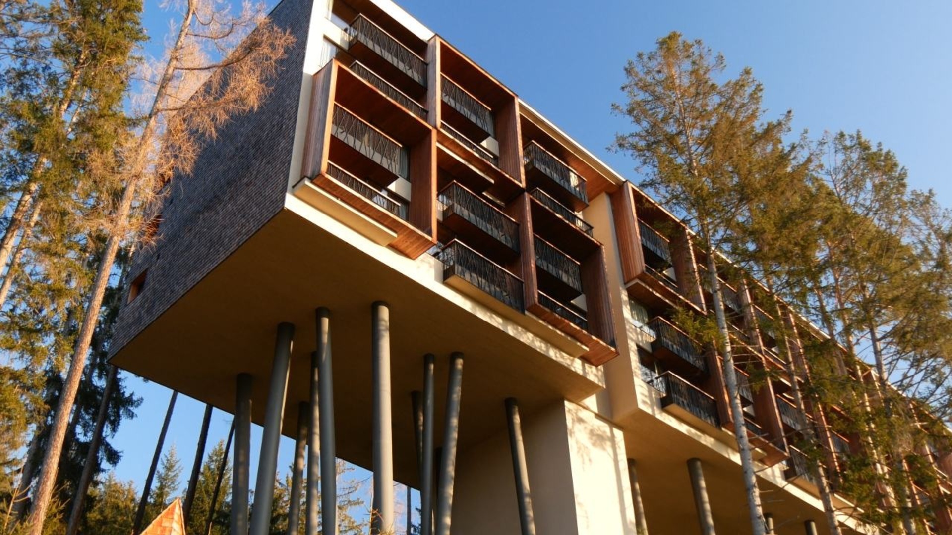 My ARBOR Plose Wellness Hotel, soulad designu a přírody