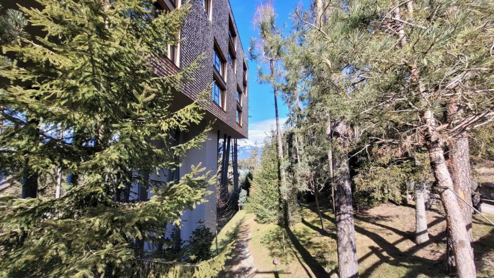 My ARBOR Plose Wellness Hotel, soulad designu a přírody