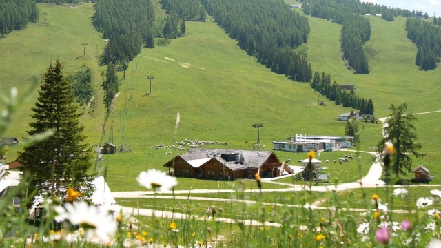 TRIFORÊT alpin.resort, to nejlepší z regionu, vzrušující atmosféra
